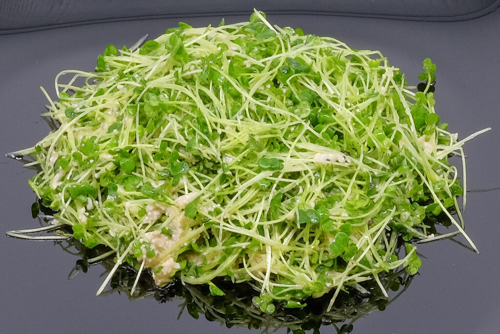Салат з мікрозелені броколі