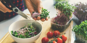 Прості рецепти з мікрозеленню