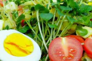 Рецепт салата з мікрогріна Редиса