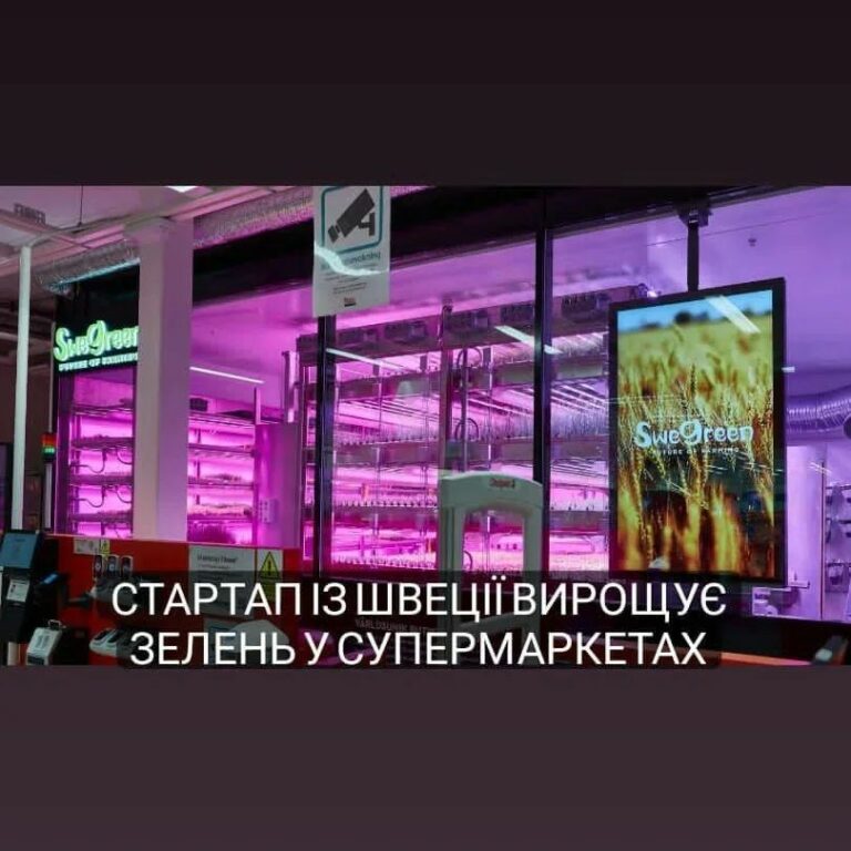 Стартап із Швеції вирощує зелень в супермаркетах