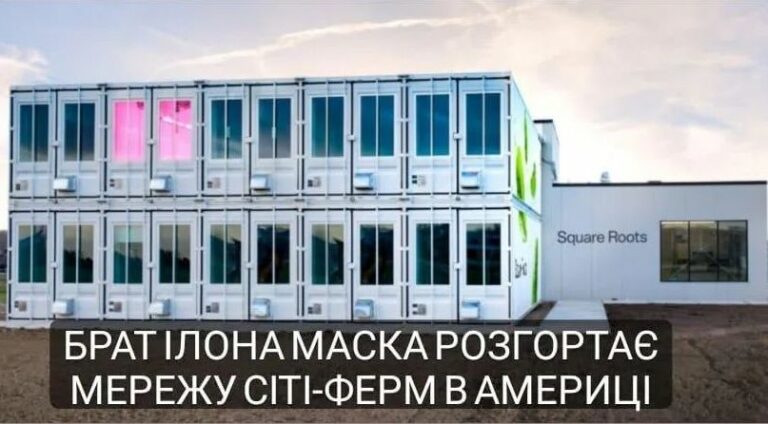 Брат Ілона Маска розгортає мережу сіті-ферм в америці