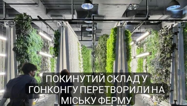 Покинутий склад у Гонконзі перетворили на міську ферму