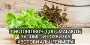 Листові овочі допомагають запобігти розвитку хвороби Альцгеймера