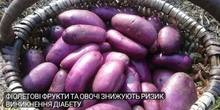 Фіолетові фрукти та овочі знижують ризик виникнення діабету