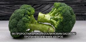 Як проростки броколі стали новим засобом проти небезпечних хвороб