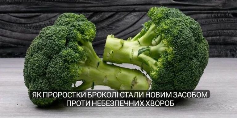 Як проростки броколі стали новим засобом проти небезпечних хвороб