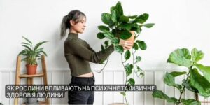 Як кімнатні рослини впливають на здоров’я: наука, психологія та поради