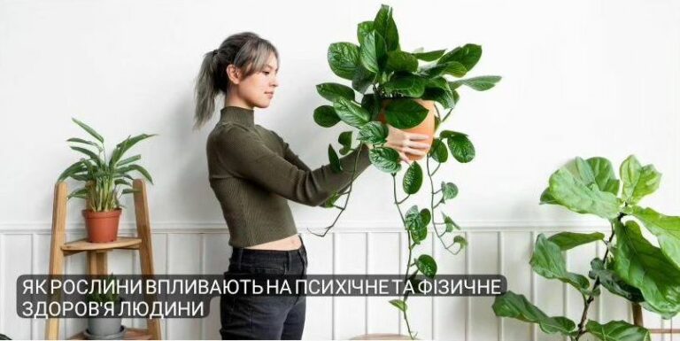 Як кімнатні рослини впливають на здоров’я: наука, психологія та поради
