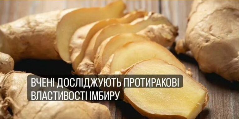 Вчені досліджують протиракові властивості імбиру