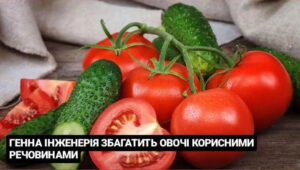 Генна інженерія збагатить овочі корисними речовинами
