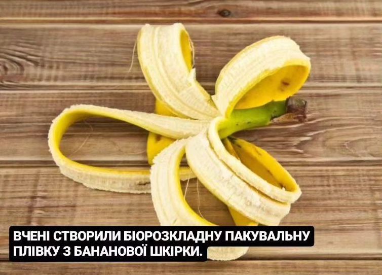 Вчені створили біорозкладну пакувальну плівку з бананової шкірки