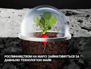Рослинництвом на марсі займатимуться за давньою технологією майя