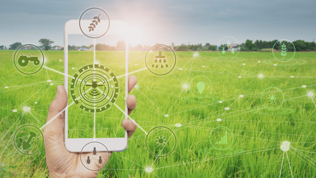 «Економіка розумного фермерства» — дослідження про впровадження IoT та вертикальних систем у міських агроекосистемах