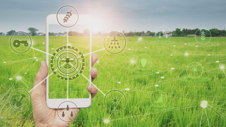 «Економіка розумного фермерства» – дослідження про впровадження IoT та вертикальних систем у міських агроекосистемах