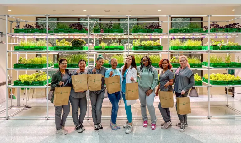 Area 2 Farms залучила $9M для мережі локальних індор‑ферм