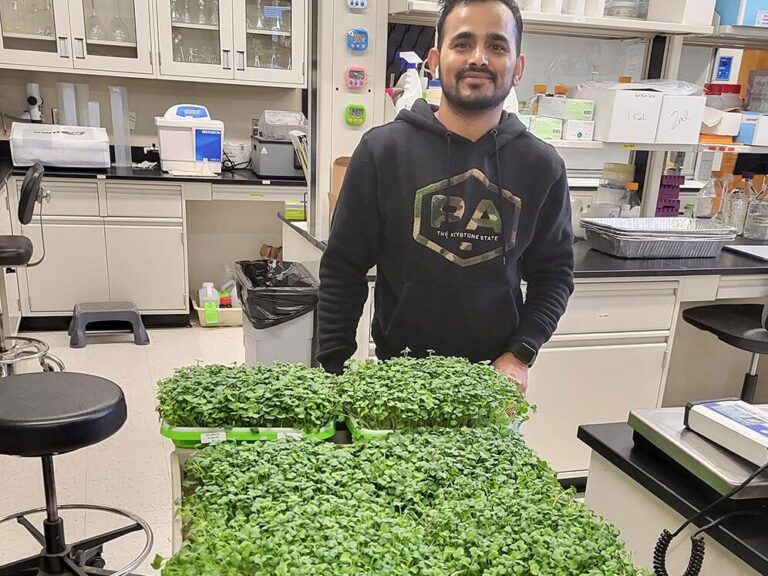 Цинк і світло: як налаштування живлення та освітлення підвищують поживність мікрозелені редиски