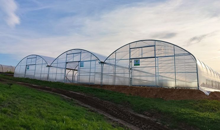 Україна поновлює гранти на сади та сучасні теплиці