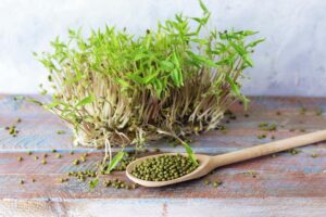 Маш (боби мунг)