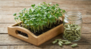 Сульфорафан як профілактика раку: Чому «чарівна таблетка» з броколі не працює і чому вам доведеться жувати