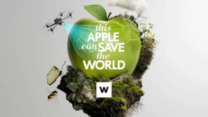 Woolworths і 800 ферм: як великий рітейл тягне агро до органіки — без примусу