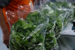 Вертикальна ферма у Коннектикуті дає роботу людям з інвалідністю — і годує сусідів